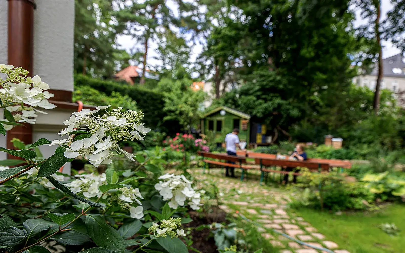 Garten hinter dem ECOPLAN Büro mit Sitzbänken